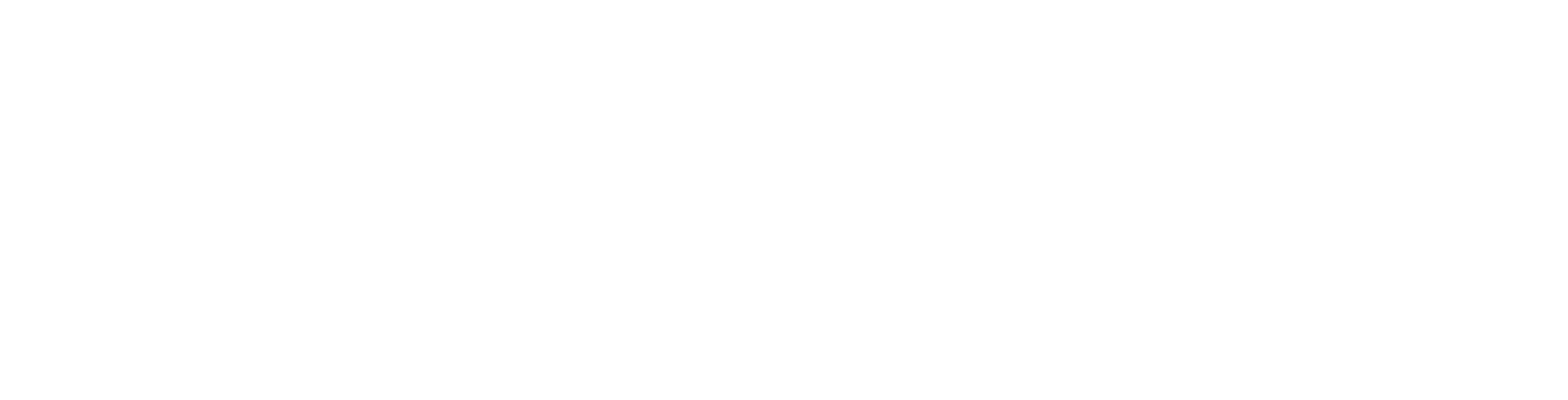 Stebex Logo